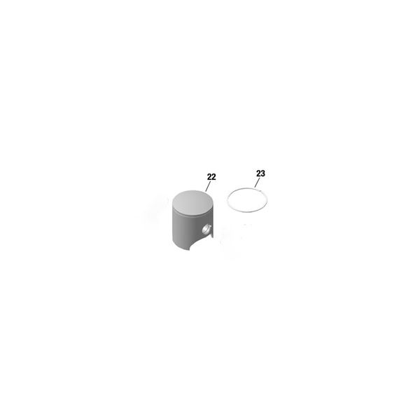 Piston assy 53,92 mm -  MAX/DD2 - NEW