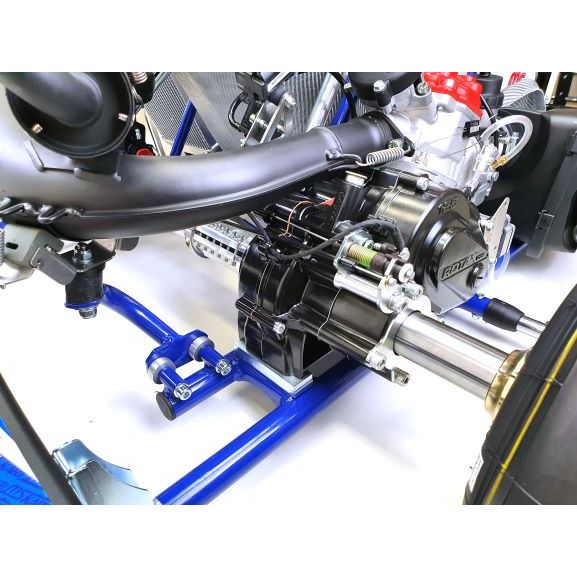 MS KART BLUE PHOENIX / with ROTAX DD2 EVO engine, complete