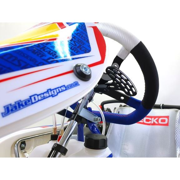 MS KART BLUE PHOENIX / with ROTAX DD2 EVO engine, complete