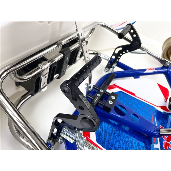 MS KART BLUE PHOENIX / with ROTAX 125 MAX EVO engine, complete