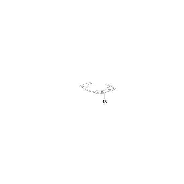 Gasket 0.05 mm TM