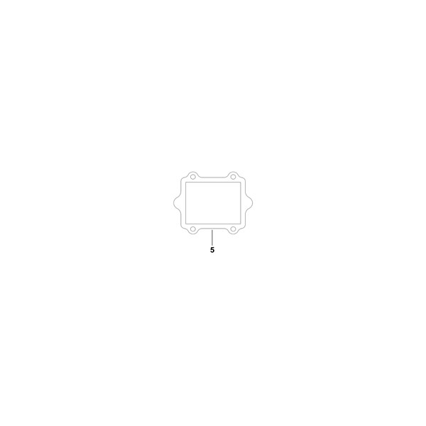 Gasket - 1,0 mm - TM