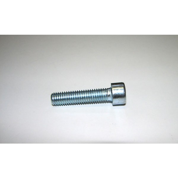 Rear brake caliper holder screw M 8x35 - model 97