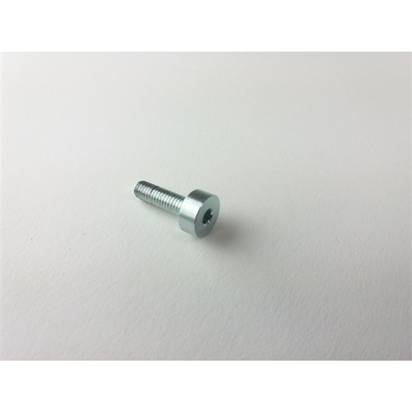 Brake caliper piston adjusting screw - ENDURANCE