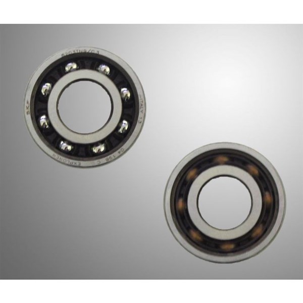 Bearing SKF TN9 6203 C3