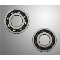 Bearing Koyo TN 9 6204 C4