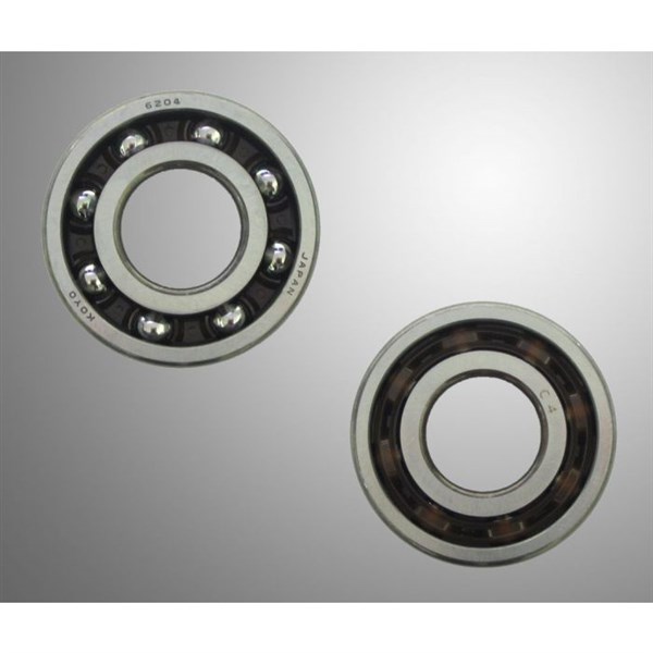 Bearing Koyo TN 9 6204 C4