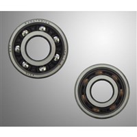 Bearing SKF TN9 6304 C4