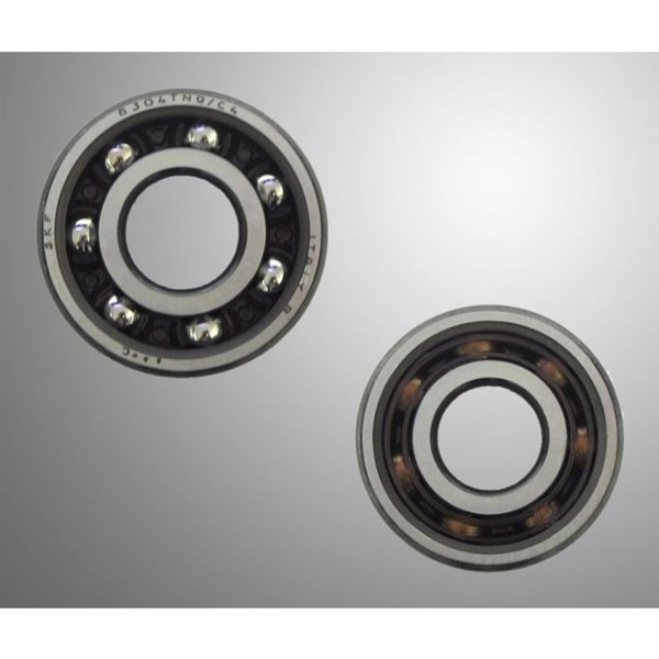 Bearing SKF TN9 6304 C4