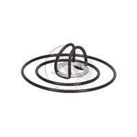 Safety ring for spark plug cap - 21