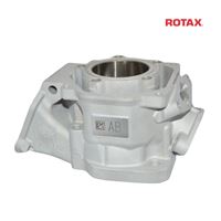 CYLINDER 125 MAX evo 2024 - ROTAX