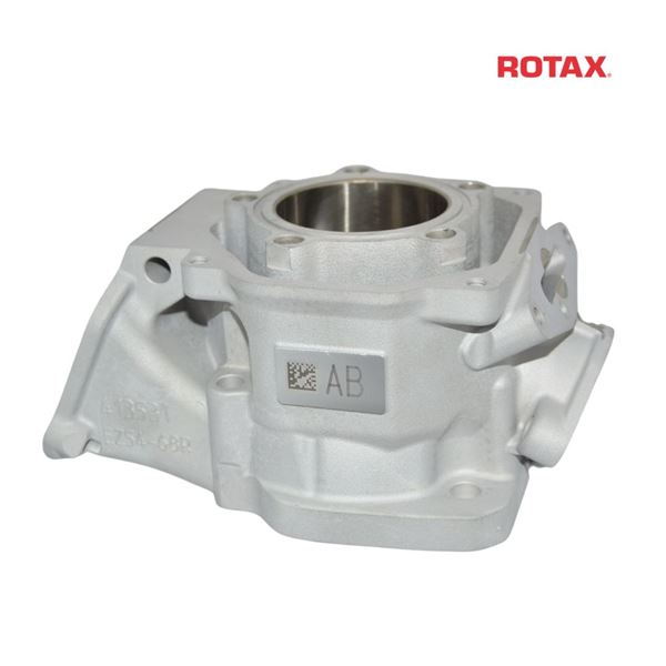CYLINDER 125 MAX evo 2024 - ROTAX
