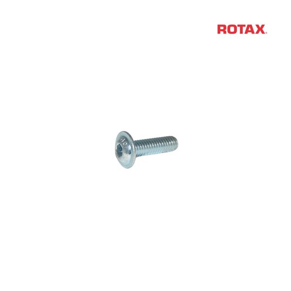 ALLEN SCREW W. ROUNDED FLANGE HEAD M6X20