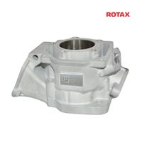 CYLINDER DD2 evo 2024 - ROTAX