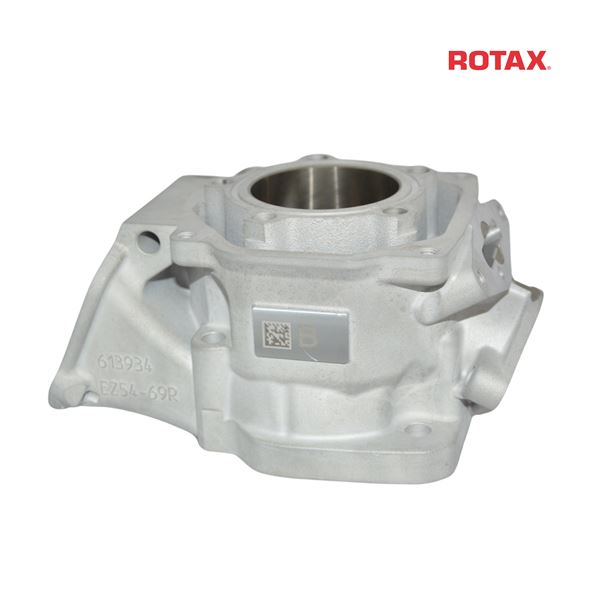 CYLINDER DD2 evo 2024 - ROTAX