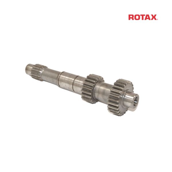 PRIMARY SHAFT 24/19 T - DD2