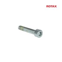 ALLEN SCREW M6X30 ISO 4762-8.8