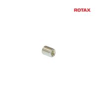 SET SCREW M6X8 - ROTAX DD2